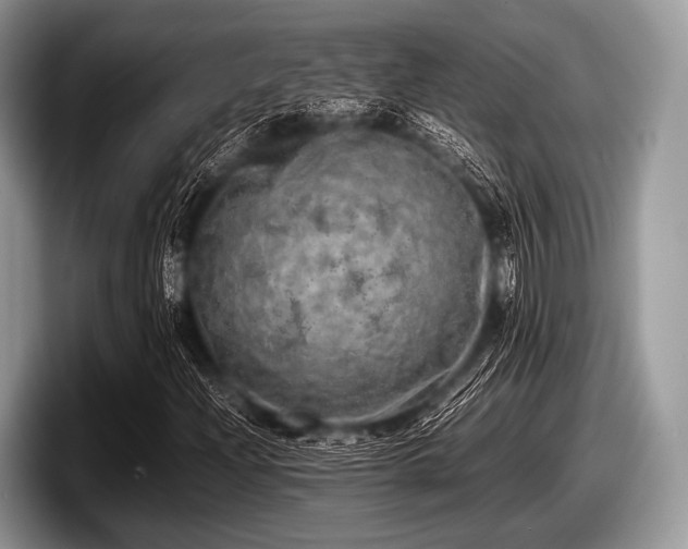 X0000097861204200803211247