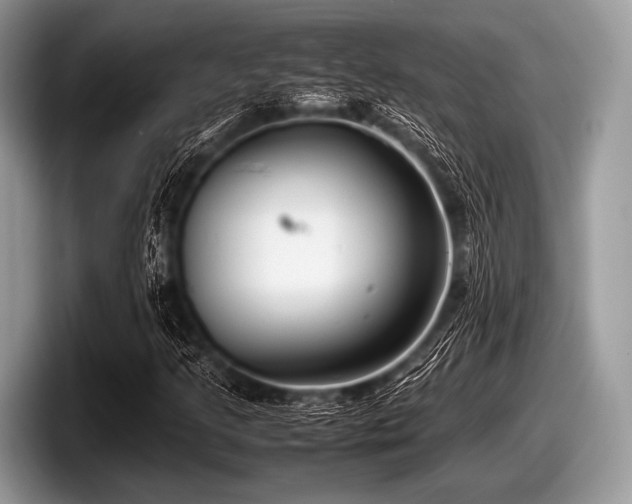 X0000097861205200803211247