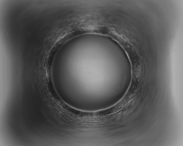 X0000097861206200803211247