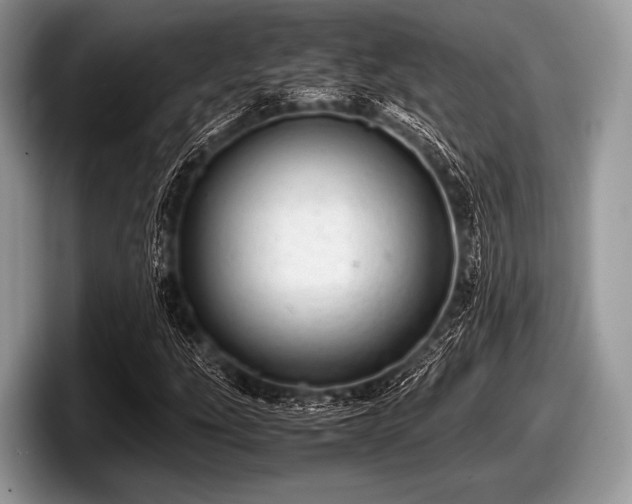 X0000097861207200803211247