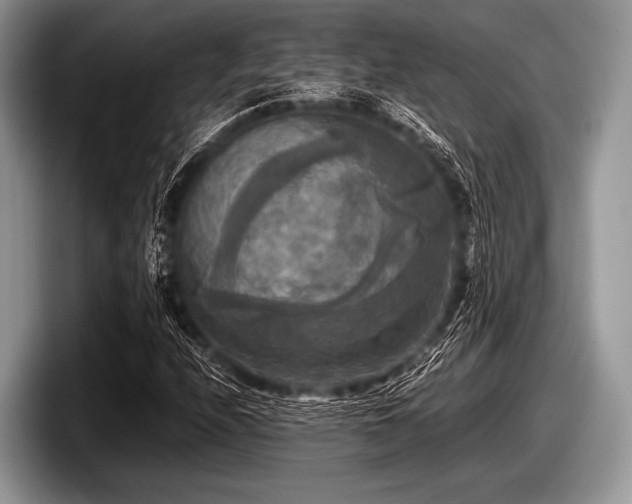 X0000097861208200803211247