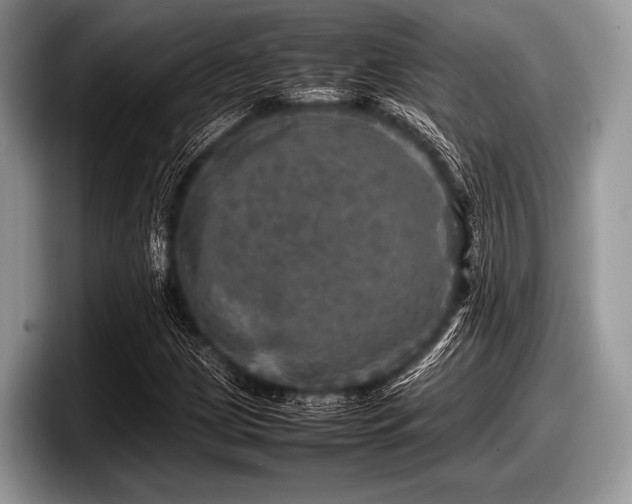 X0000097861209200803211247