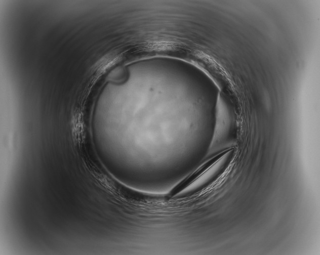 X0000097861210200803211247