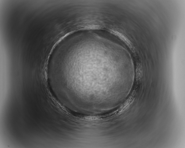 X0000097861212200803211247