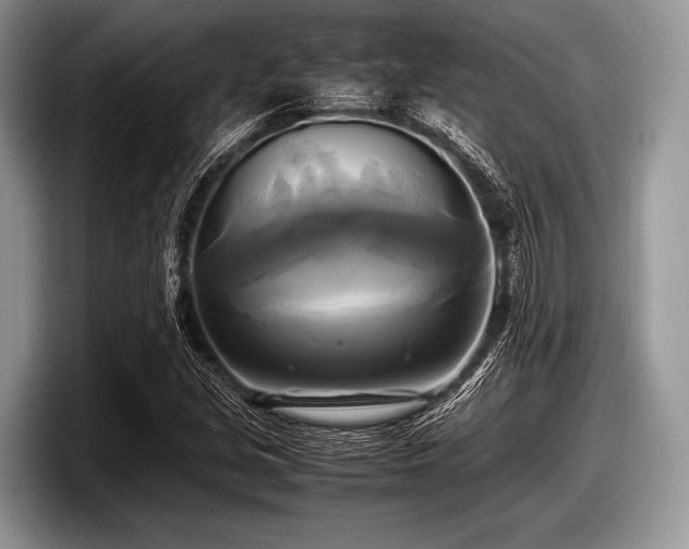 X0000097861213200803211247