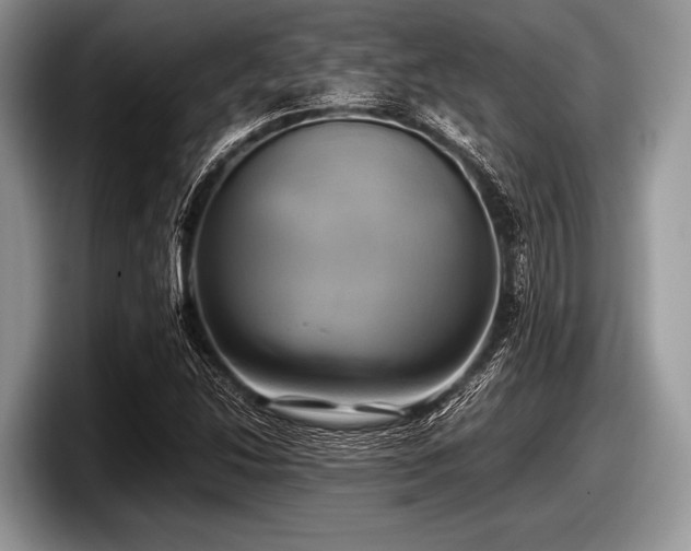 X0000097861214200803211247