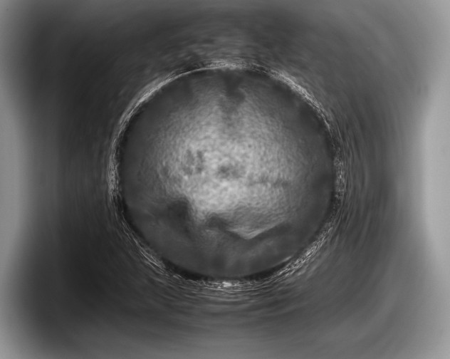 X0000097861215200803211247