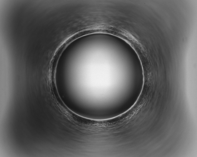 X0000097861216200803211247