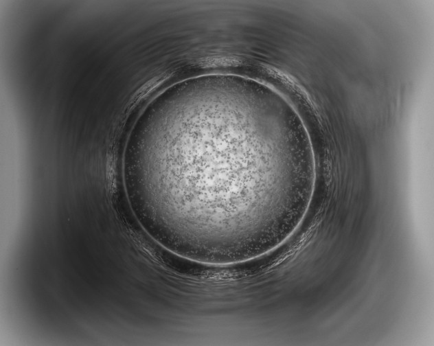 X0000097861217200803211247