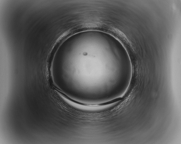 X0000097861218200803211247