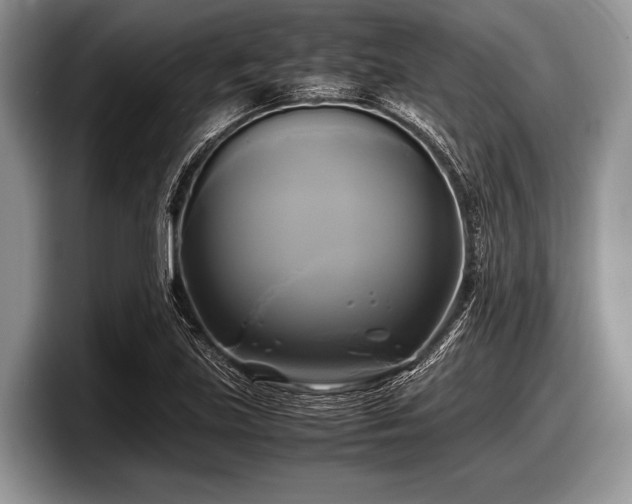 X0000097861219200803211247