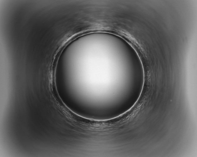 X0000097861220200803211247