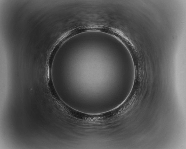 X0000097861221200803211247