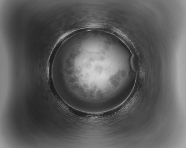 X0000097861222200803211247