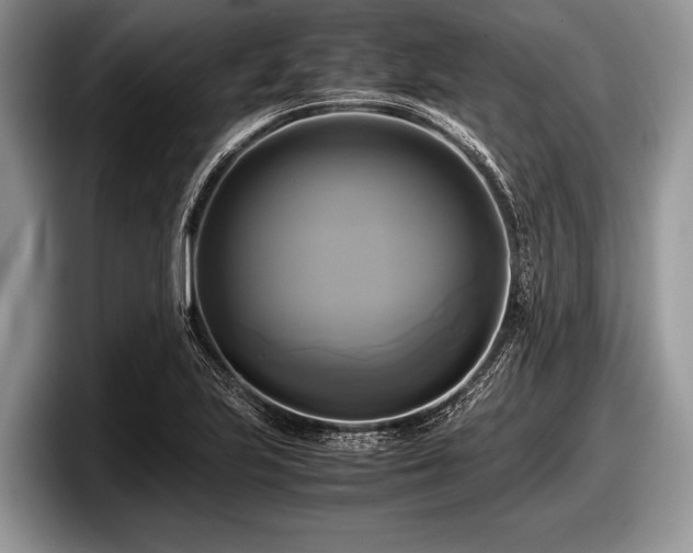 X0000097861223200803211248