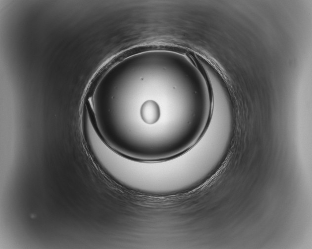 X0000097861224200803211248