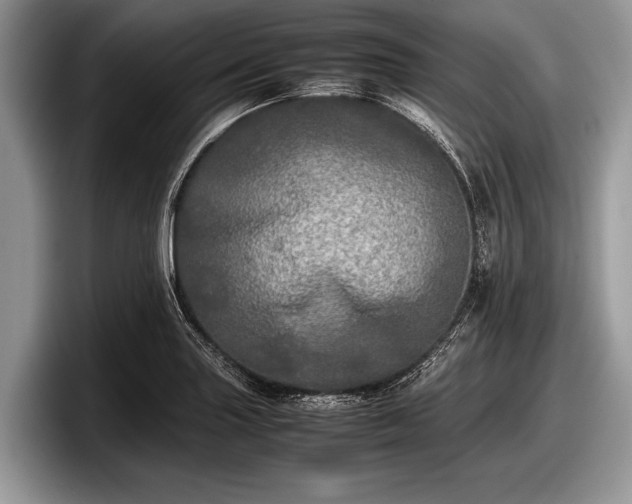 X0000097861227200803211248