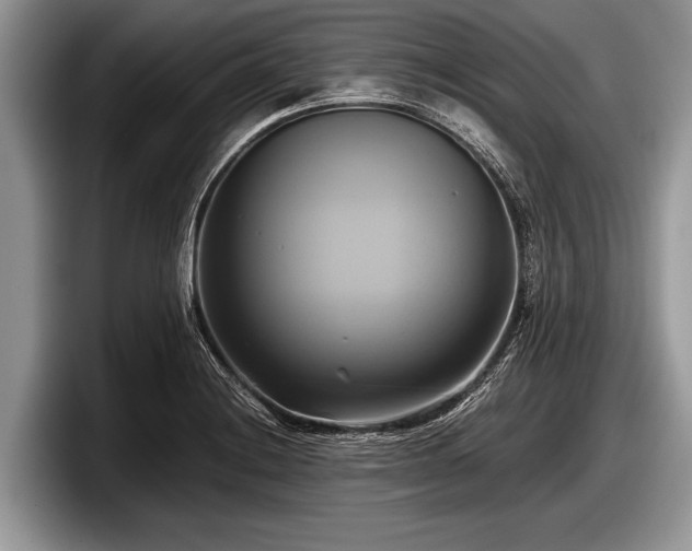 X0000097861228200803211248