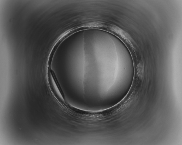 X0000097861229200803211248