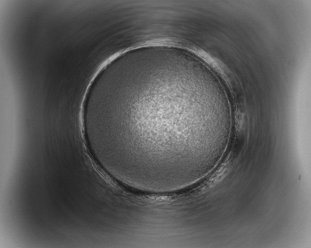 X0000097861230200803211248