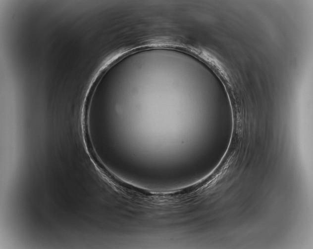 X0000097861231200803211248