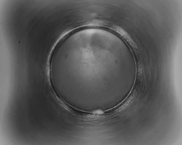 X0000097861232200803211248