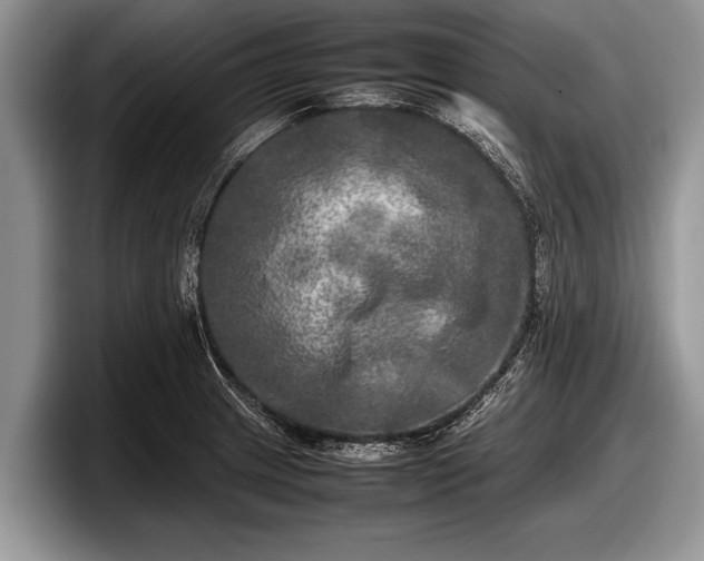 X0000097861233200803211248