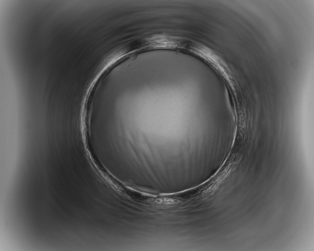 X0000097861235200803211248