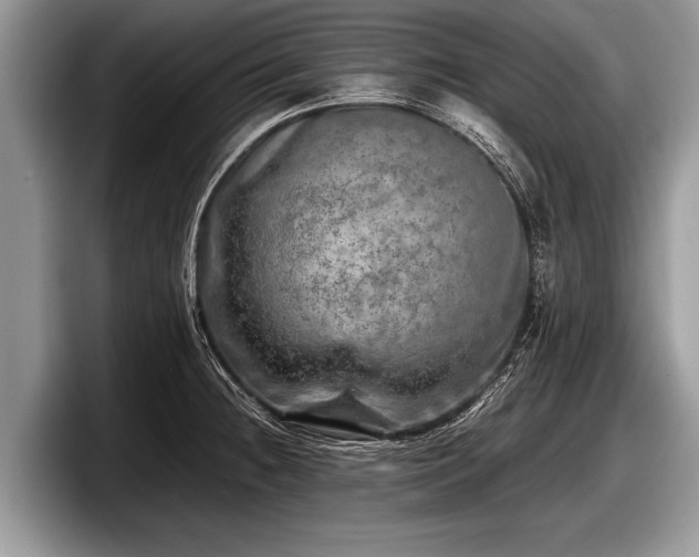 X0000097861236200803211248