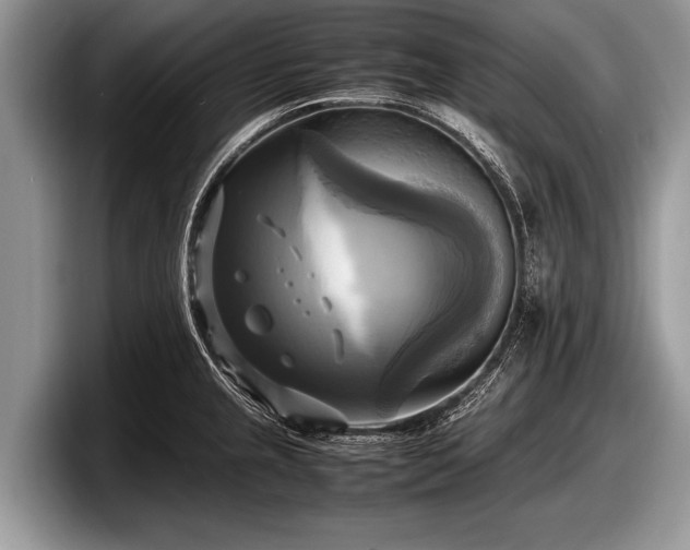 X0000097861237200803211248