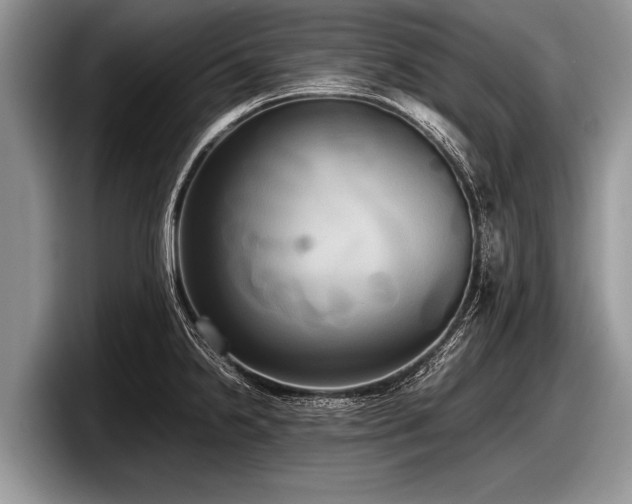 X0000097861238200803211248