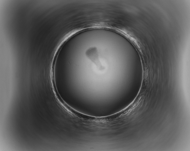 X0000097861239200803211248