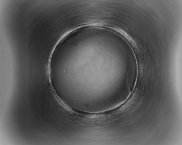 X0000097861240200803211248