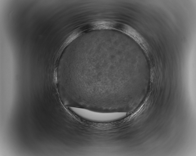 X0000097861241200803211248