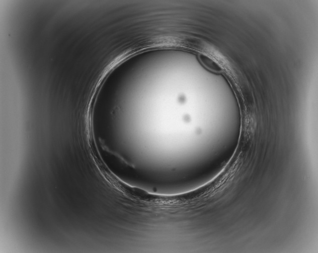 X0000097861242200803211248