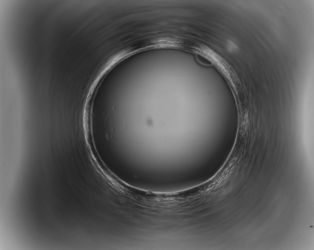 X0000097861243200803211248