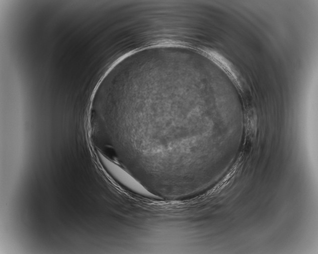 X0000097861244200803211248