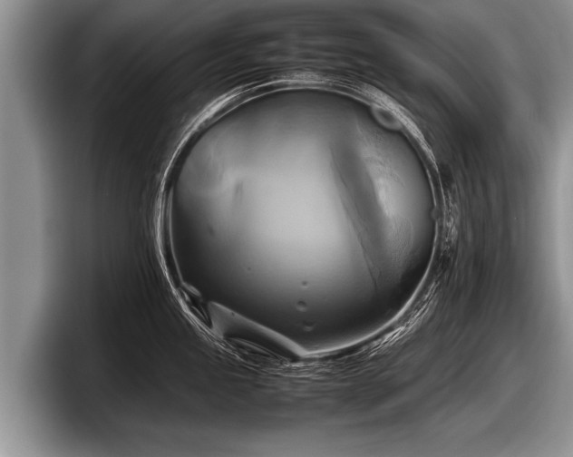 X0000097861245200803211248