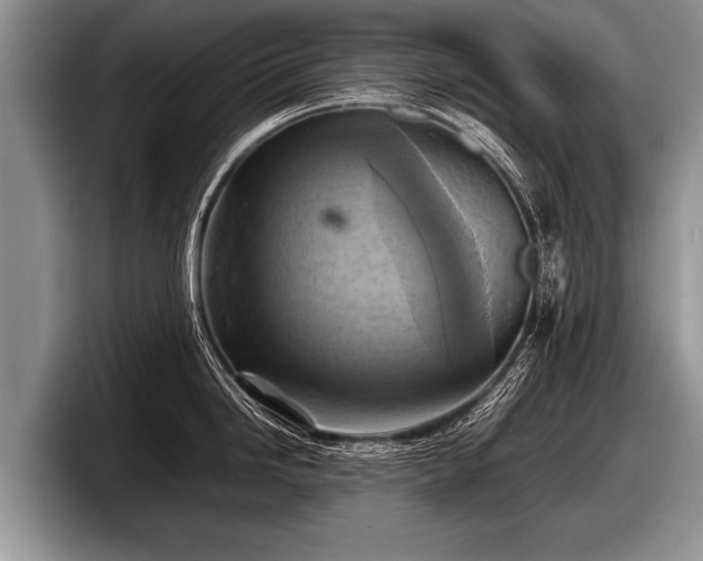 X0000097861246200803211248