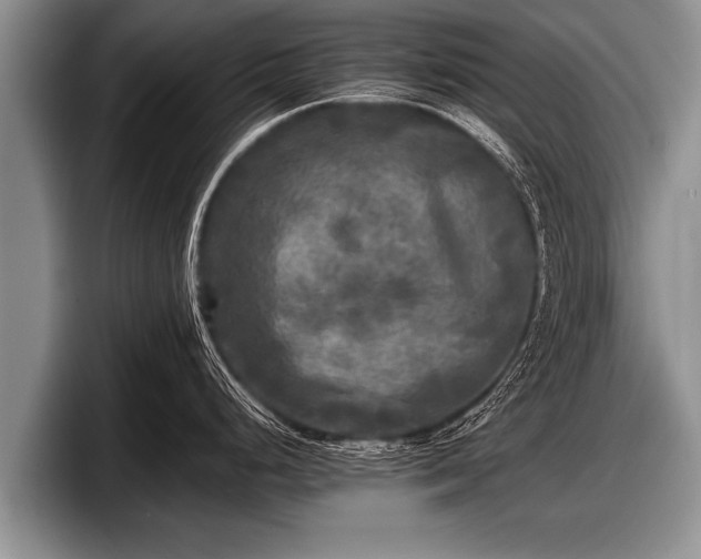 X0000097861248200803211248