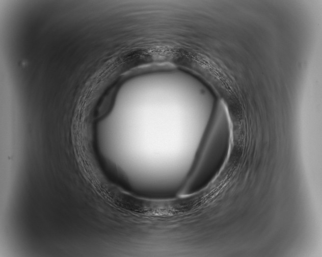 X0000097861249200803211247