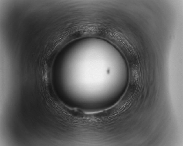 X0000097861250200803211247