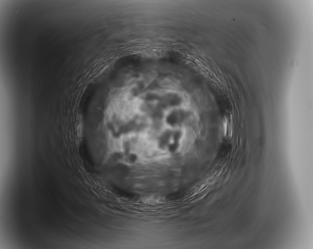 X0000097861251200803211247