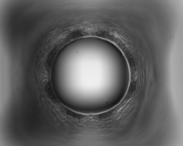 X0000097861253200803211247