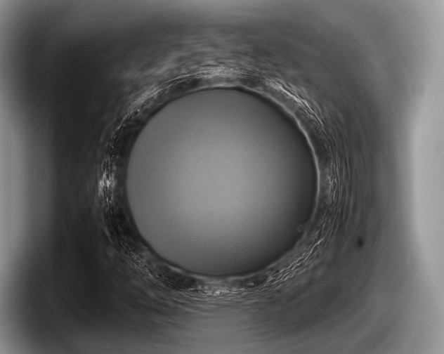 X0000097861254200803211247