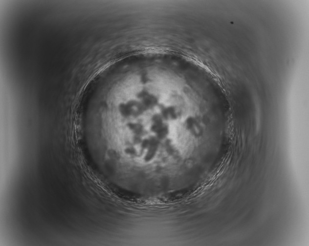 X0000097861255200803211247