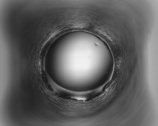 X0000097861256200803211247