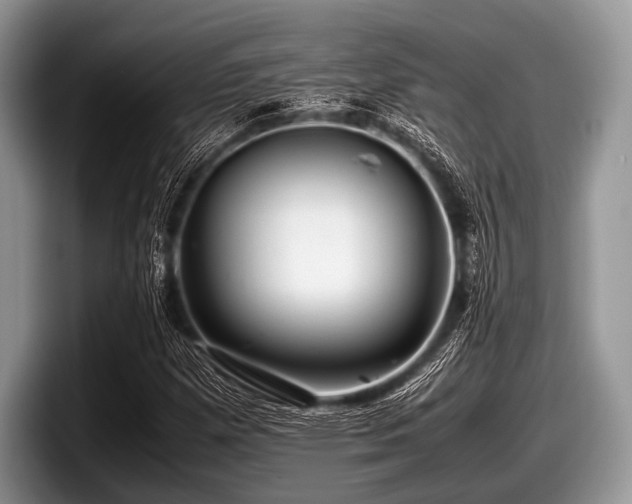 X0000097861257200803211247