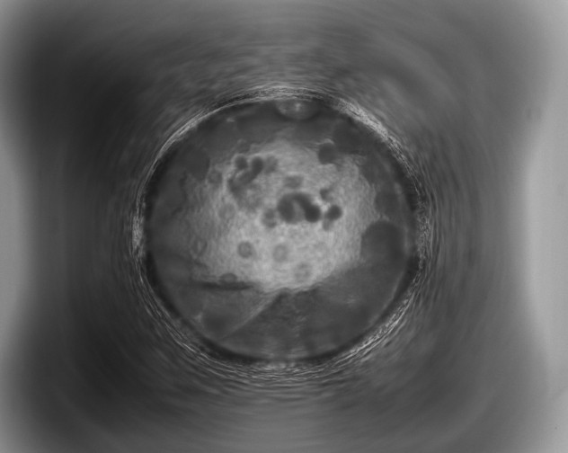 X0000097861259200803211247