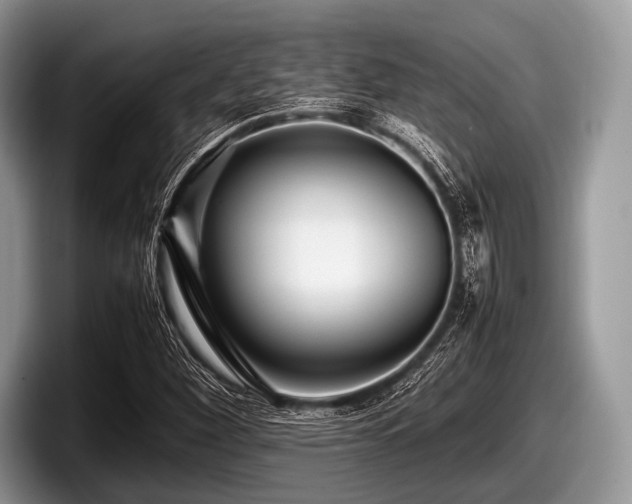 X0000097861260200803211247